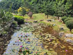 -深圳仙湖植物园