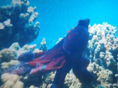 -上海科技馆(地铁站)