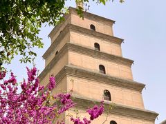-大慈恩寺(大雁塔)
