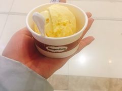 -哈根达斯(石家庄北国店)