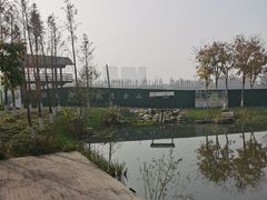 -长田漾湿地公园