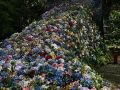 -共青国家森林公园-售票处