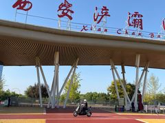 -西安浐灞国家湿地公园