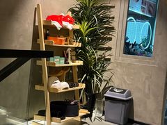 -施奈儿.洗头頭療.按摩SPA.采耳(上梅林店)