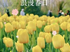 -大宁公园