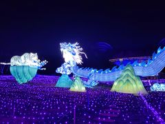 -海花岛旅游度假区