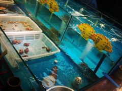 -老宁波1381餐厅(宏泰广场店)