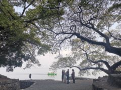 -抚仙湖禄充风景区