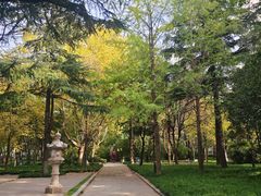 -木塔寺遗址生态公园
