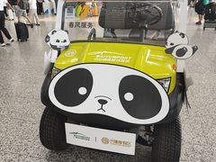 -广州白云国际机场-T2航站楼
