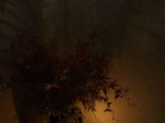 -Dragonfly悠庭·按摩Spa(静安嘉里中心店)