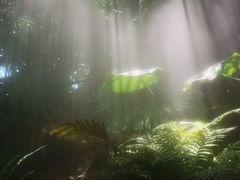 -厦门日月谷温泉渡假村