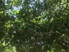 -食膳公园包子铺(烈士公园店)