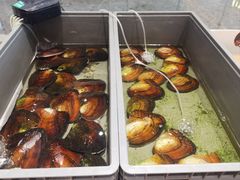 -十八字金·银饰·开蚌DIY·手工体验团建(魏公芳华里店)