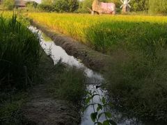 -长兴太湖图影湿地文化园