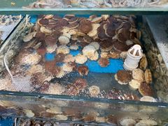 -仙螺岛海鲜自助餐厅(总店)