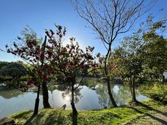 -扬州大运河文化旅游度假区·盆景园
