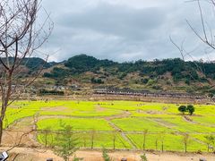 -福建土楼（华安）旅游区•大地土楼群