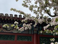 -海棠花溪(元大都城垣遗址公园)