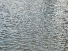 -武昌中华路码头(轮渡站)