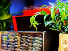 -棒棰岛辽参(长宁旗舰店)