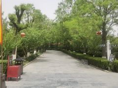 -大槐树寻根祭祖园