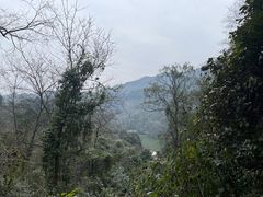 -青城山