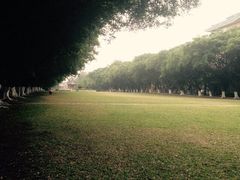 iphone_upload_pic-中山大学学者灵芝(园南路店)