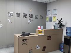 -嘉美宠物医院