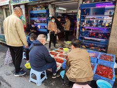 -清平路水族市场