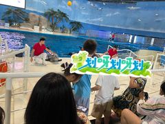 -泉城欧乐堡海洋极地世界