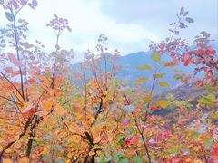 -周口店坡峰岭风景区