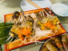 -渔娘渔家丹东海鲜(东直门店)