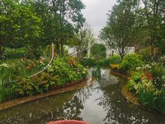 -深圳仙湖植物园