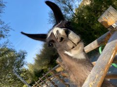 -鄂尔多斯野生动物园