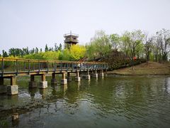 -东郊湿地公园