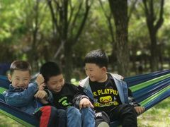-洨河生态公园
