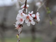 -北京明城墙遗址公园