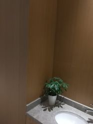 -苑苑vbeauty科技美容SPA