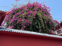 -三亚南山文化旅游区