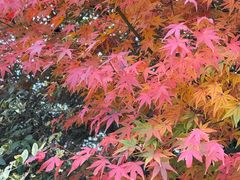 -杭州半山国家森林公园