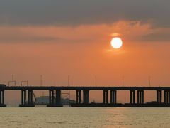 -宝安西湾红树林湿地公园