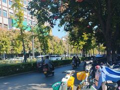 -一记洛阳菜·糖醋小排·水席(十字街店)