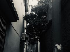 -苏妃奶酪(平江路店)