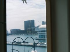 -Cupping Room(Harbour City)
