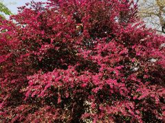 -相门城墙文化休闲景区