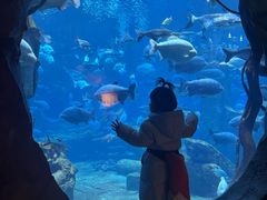 -郑州银基国际旅游度假区