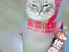 -蜜雪冰城(浙江大学店)