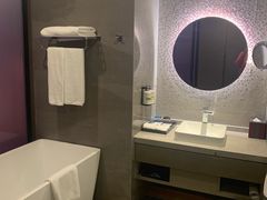 -南京禄口机场雅高铂尔曼大酒店