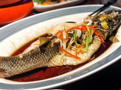 清蒸鲈鱼-前海沿·青岛菜(五四广场永旺店)